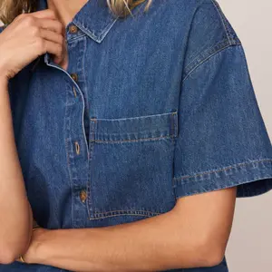 Z-Supply Everyday Denim Button Up