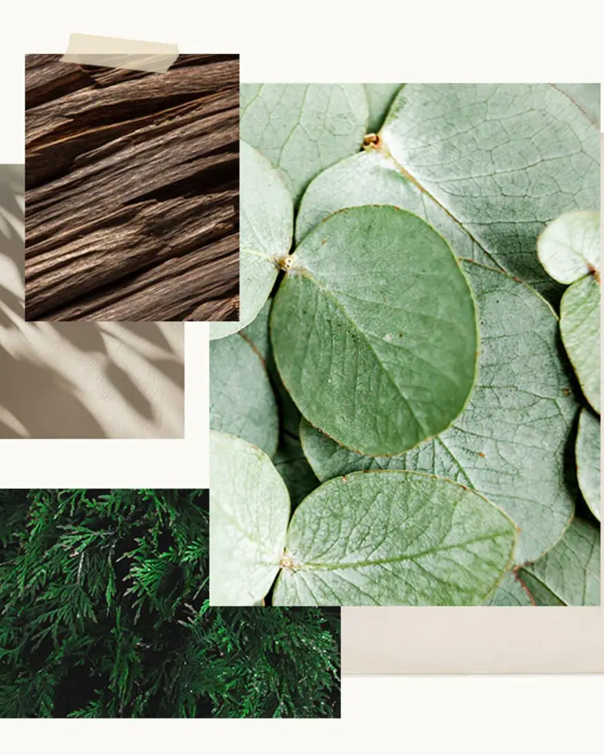 Thymes Soft Ceremony 6.5 Box Candle