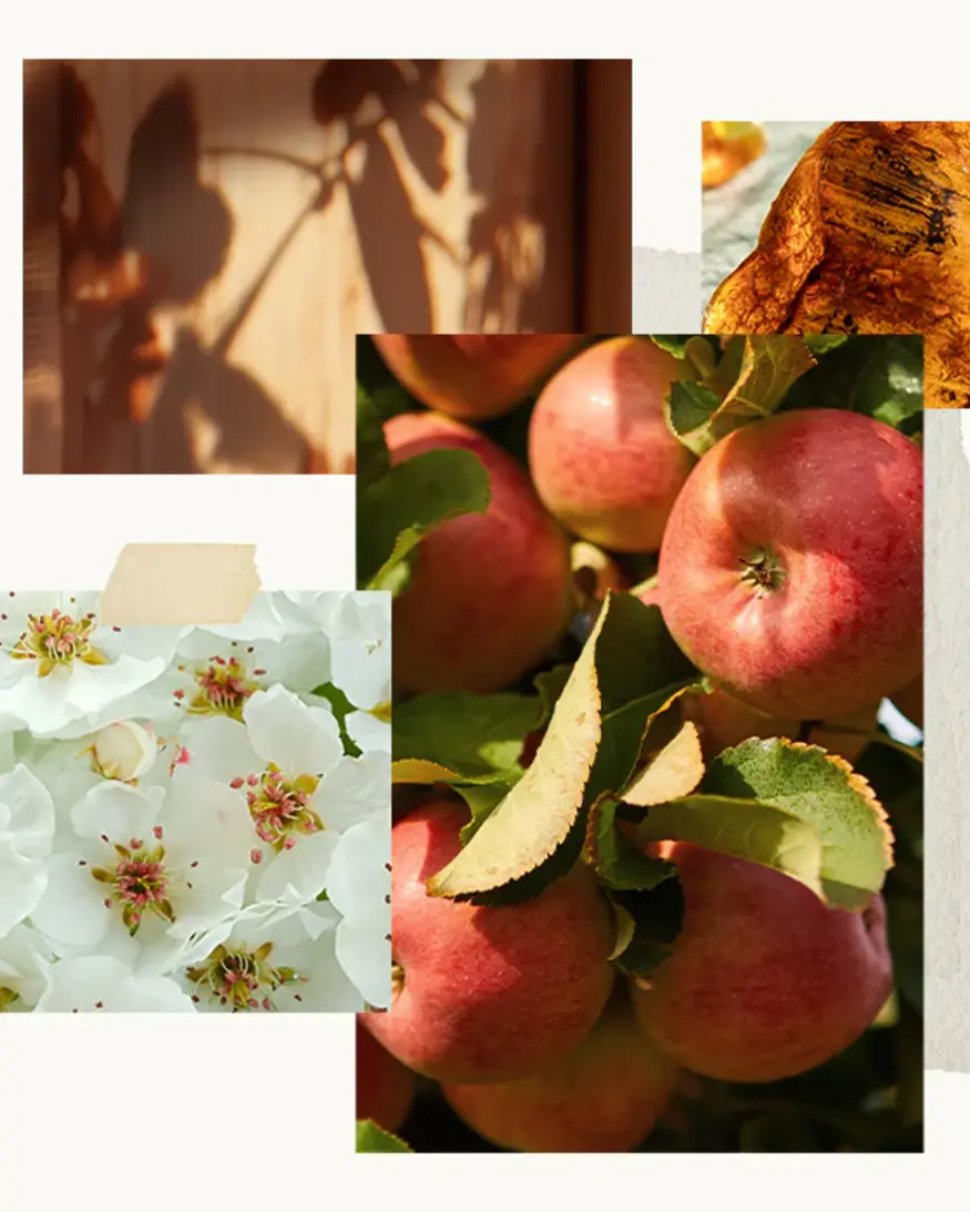 Thymes Amber Hour Home Spray