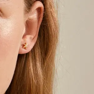 Pilgrim Oakley Earrings