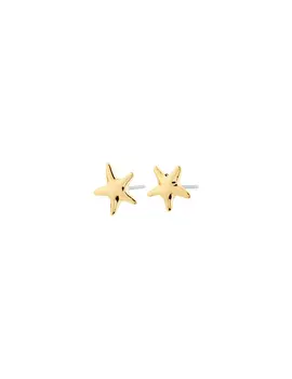 Pilgrim Andre Earrings