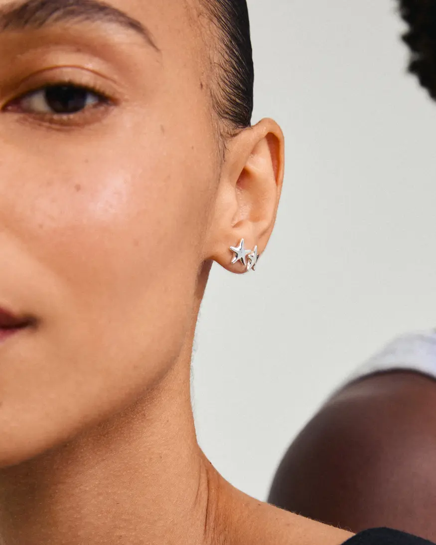 Pilgrim Andre Earrings