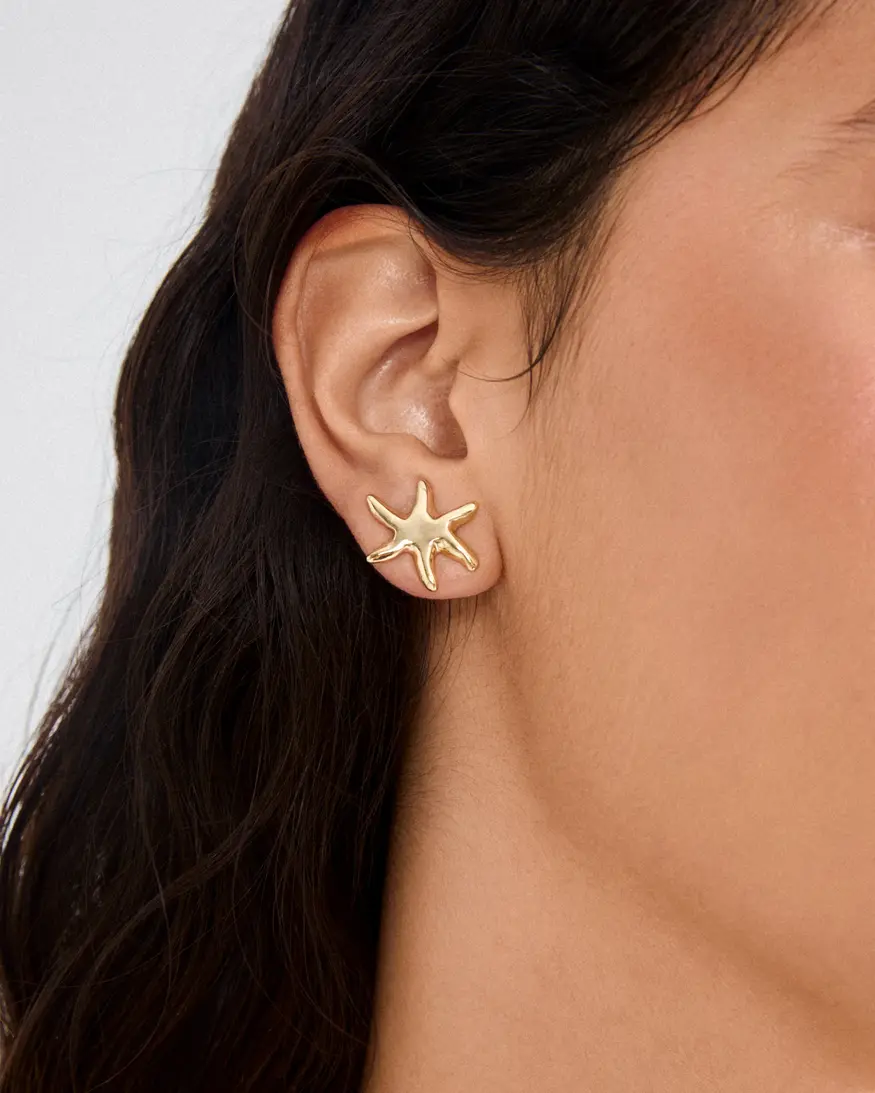 Pilgrim Prism Earrings