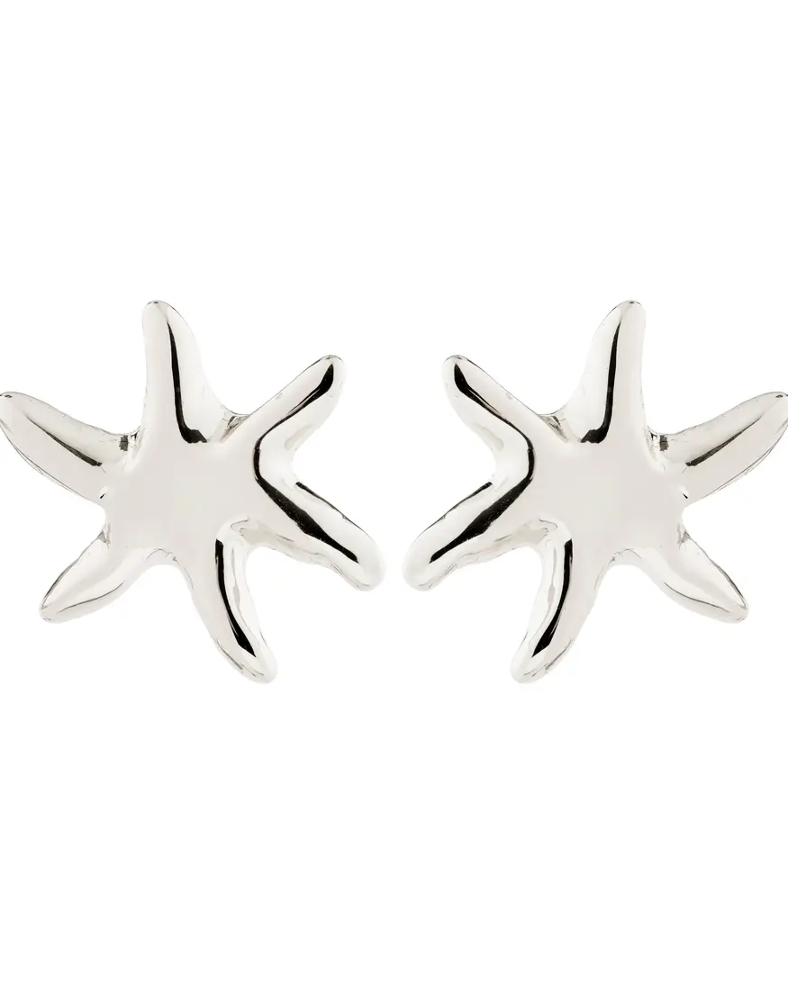 Pilgrim Prism Earrings