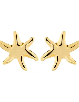 Pilgrim Prism Earrings