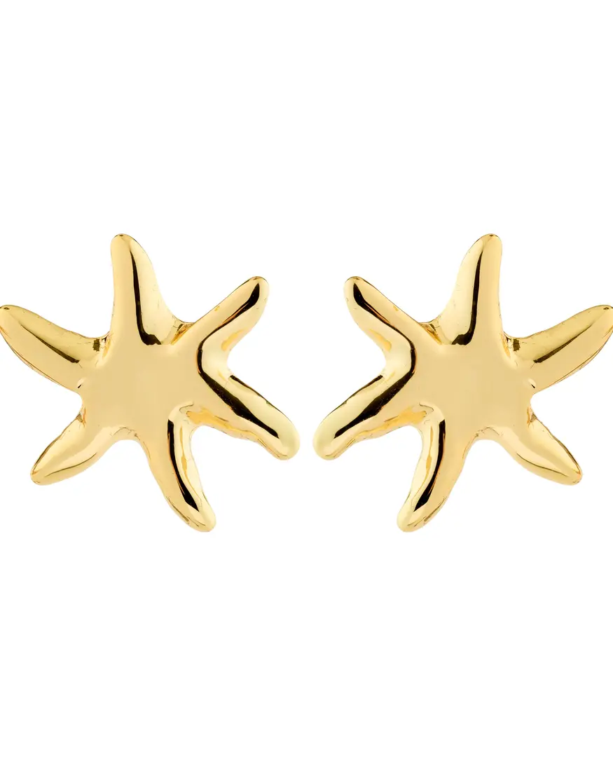 Pilgrim Prism Earrings