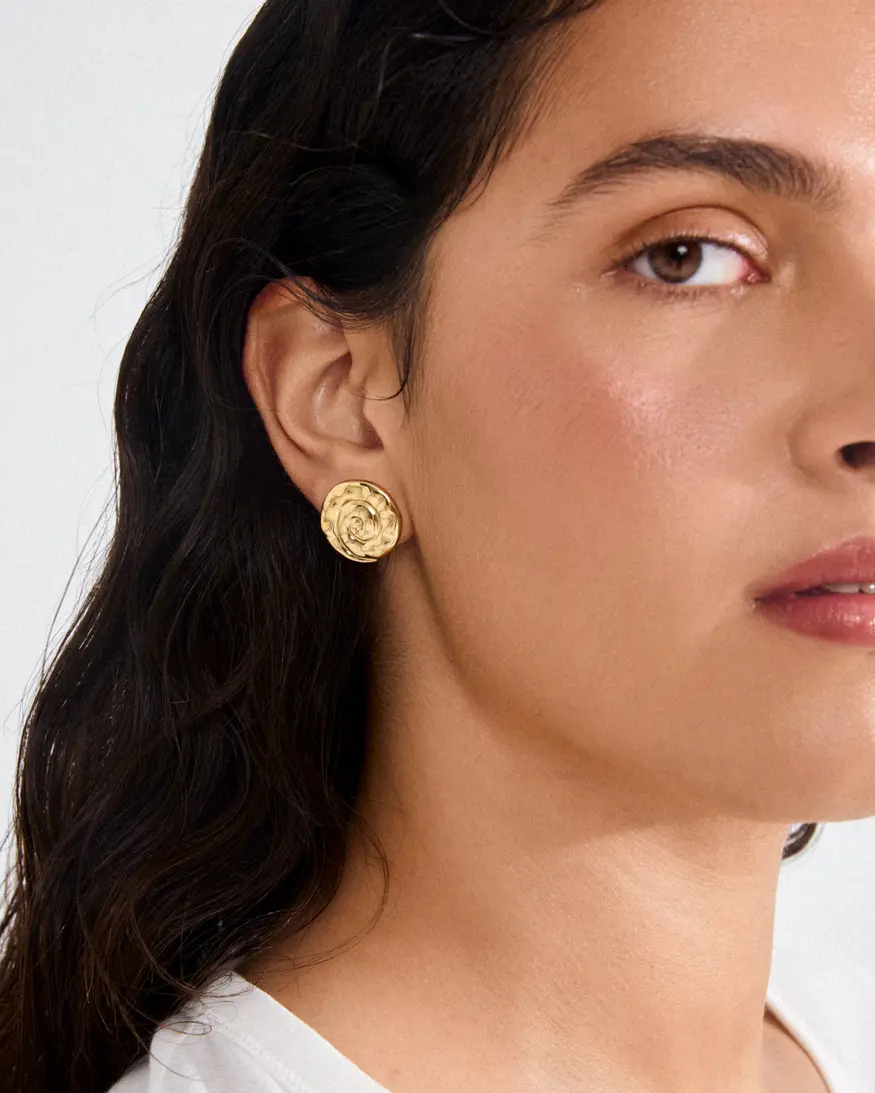 Pilgrim Haze Earrings