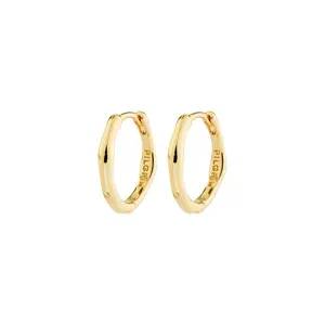Pilgrim Nova Hoop Earrings
