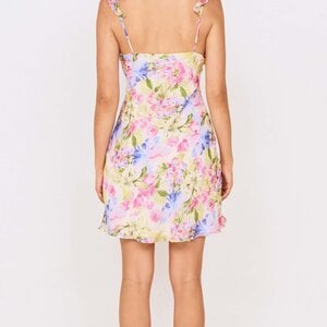 Mink Pink Celina Mini Dress