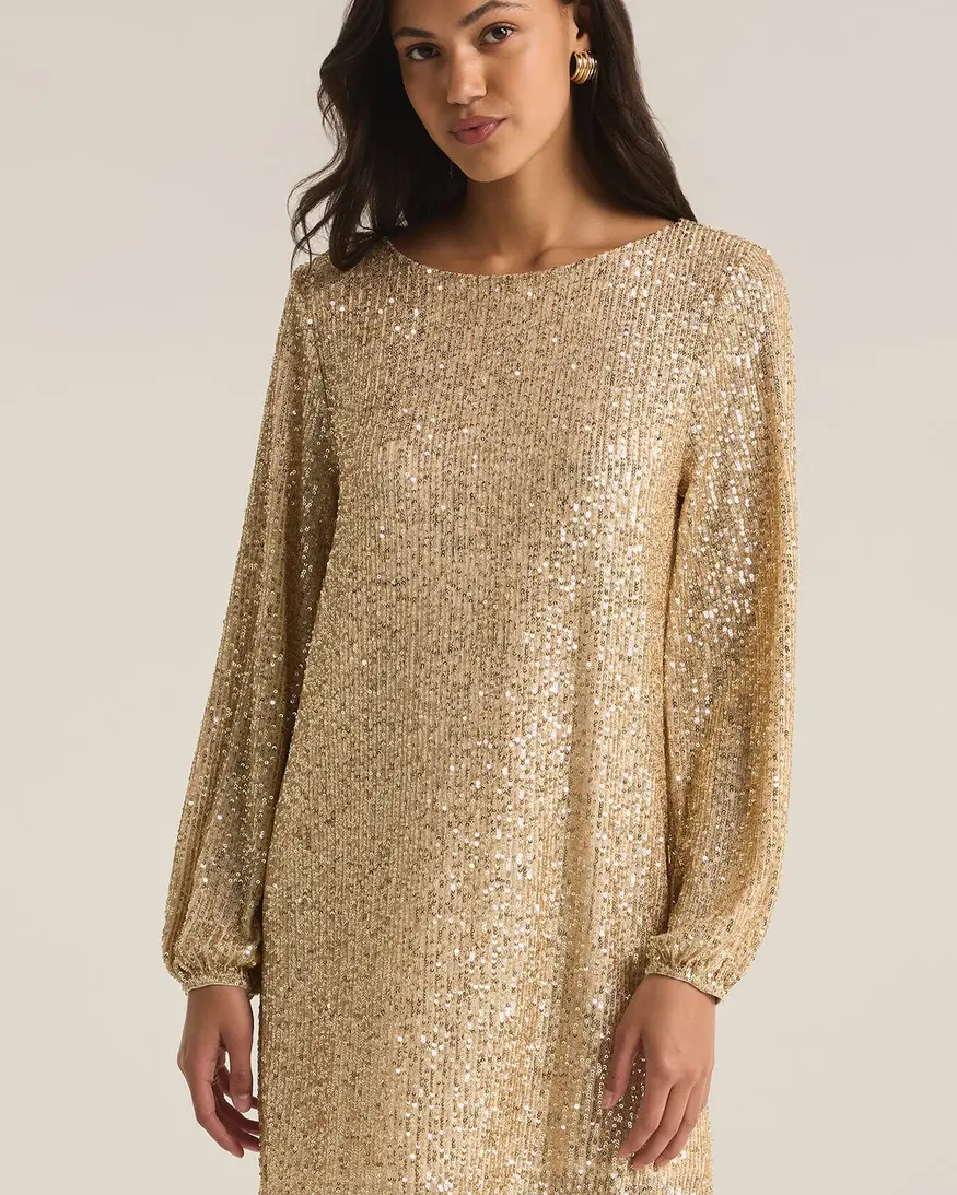 Z-Supply Andromeda Sequin Dress