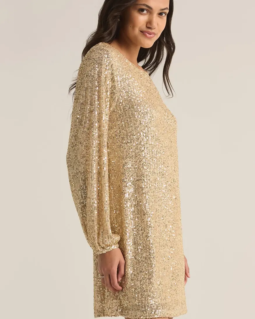 Z-Supply Andromeda Sequin Dress