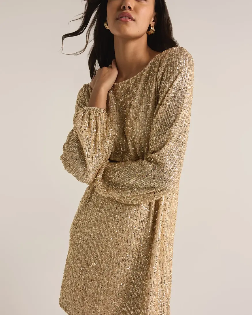 Z-Supply Andromeda Sequin Dress