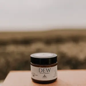 Till & Tallow Dew - Aloe After Sun