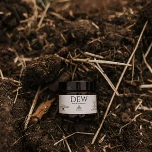 Till & Tallow Dew - Aloe After Sun