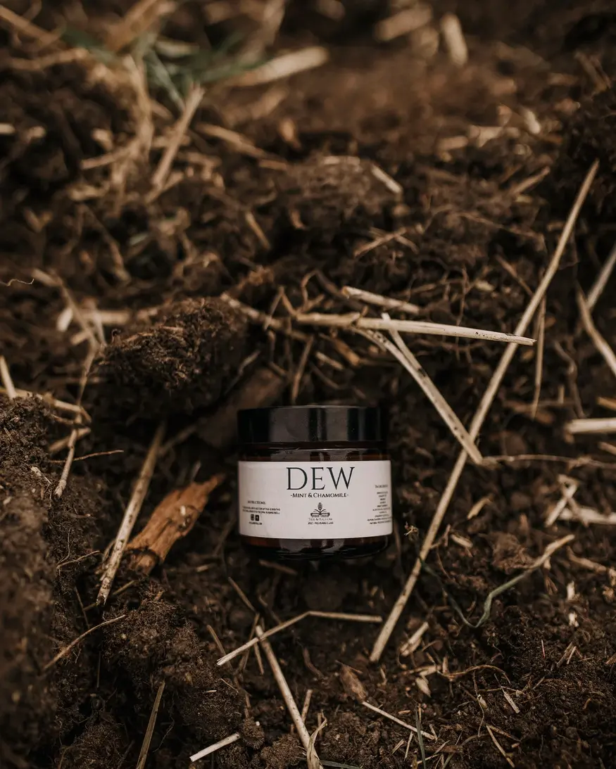 Till & Tallow Dew - Aloe After Sun