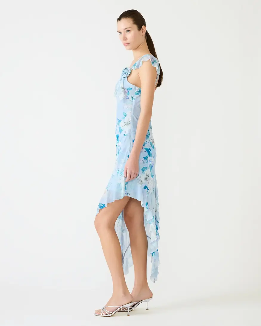 Steve Madden Sorellia Dress