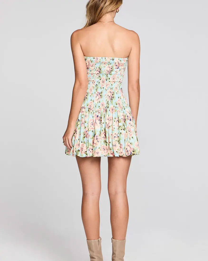Saltwater Luxe Leightyn Mini Dress