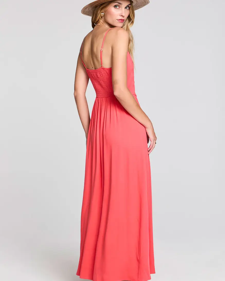 Saltwater Luxe Tarynnia Maxi Dress