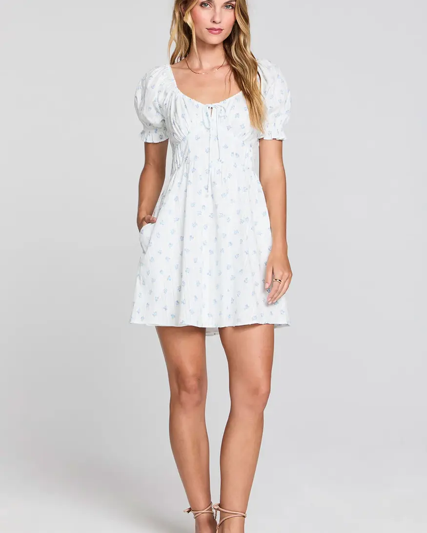 Saltwater Luxe Alaysia Mini Dress