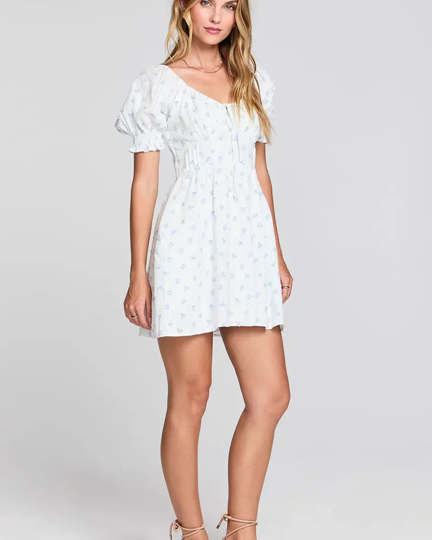 Saltwater Luxe Alaysia Mini Dress
