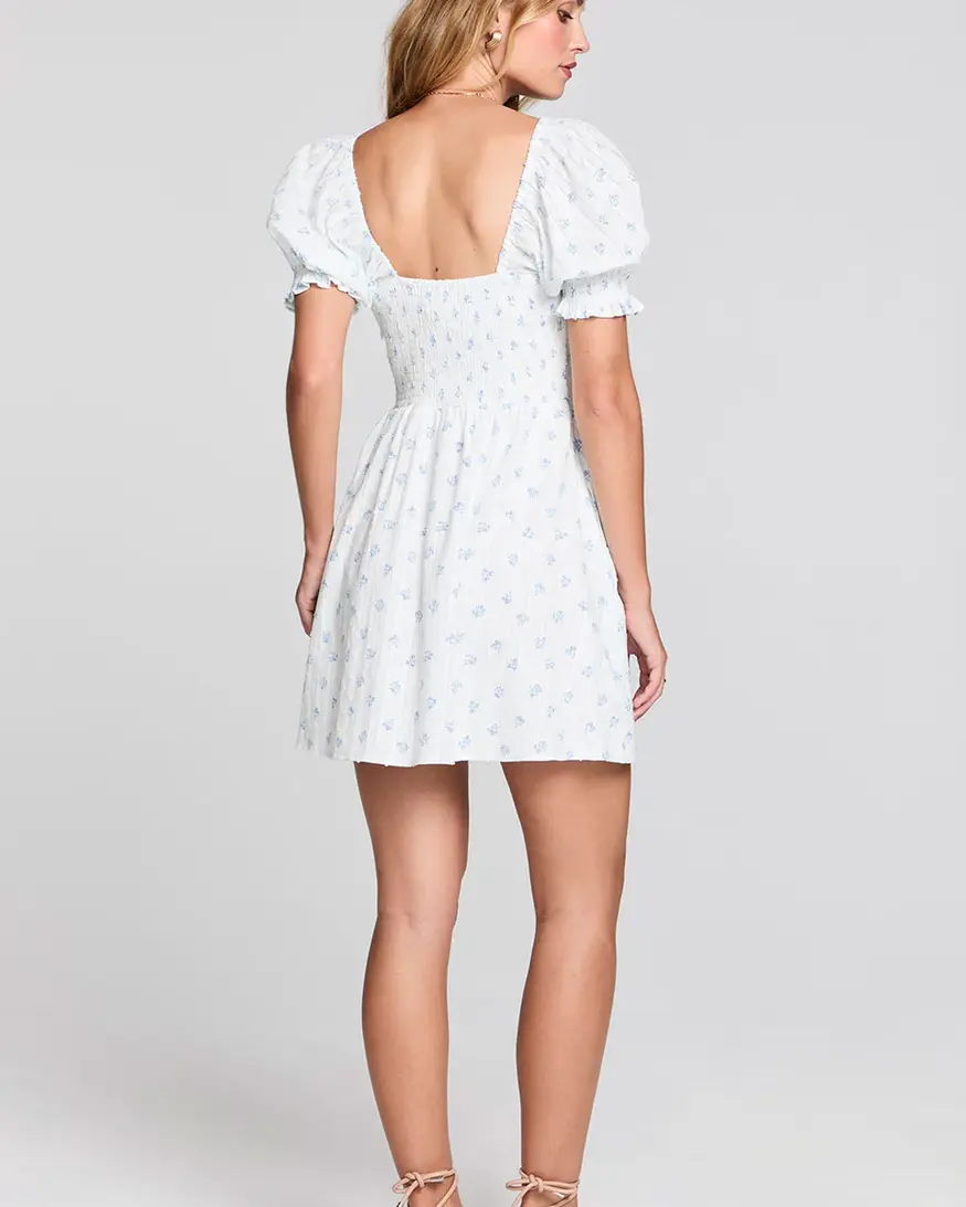 Saltwater Luxe Alaysia Mini Dress
