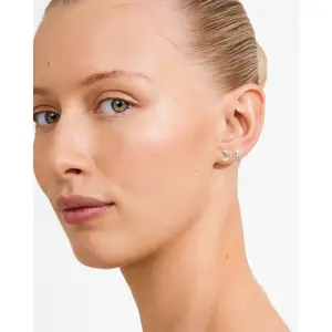 Pilgrim Misha 2-1 Earrings