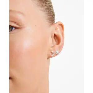 Pilgrim Misha 2-1 Earrings