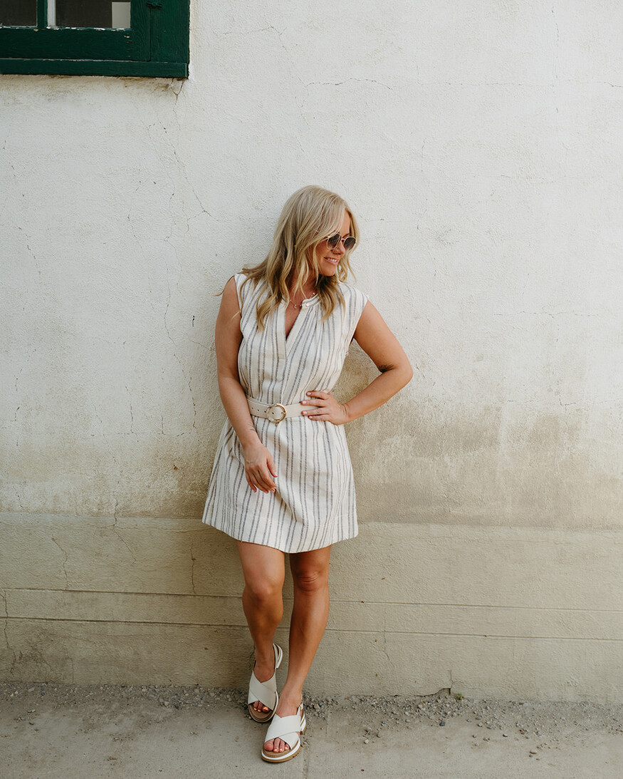 Z-Supply Minna Stripe Mini Dress
