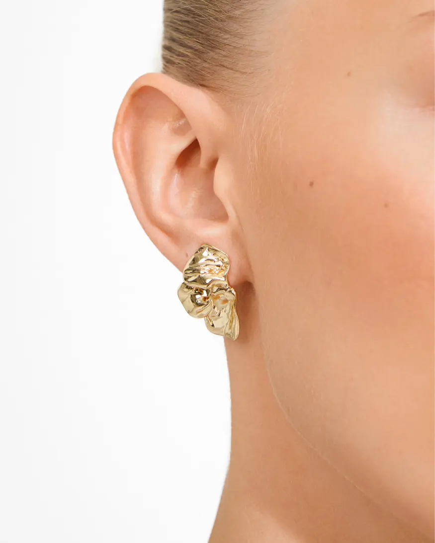 Pilgrim Solari 2 Earrings