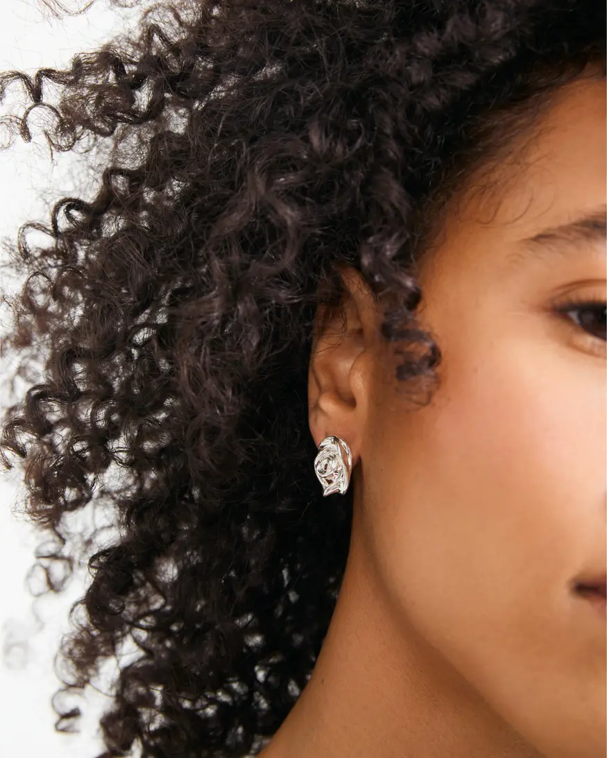 Pilgrim Inner Earrings