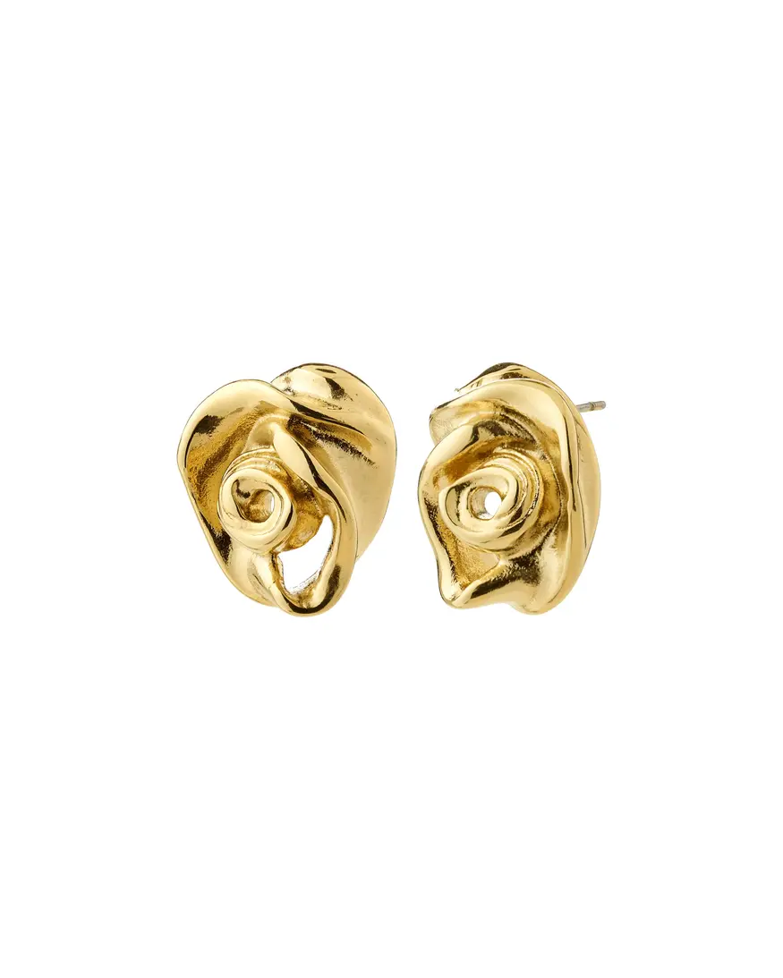Pilgrim Inner Earrings