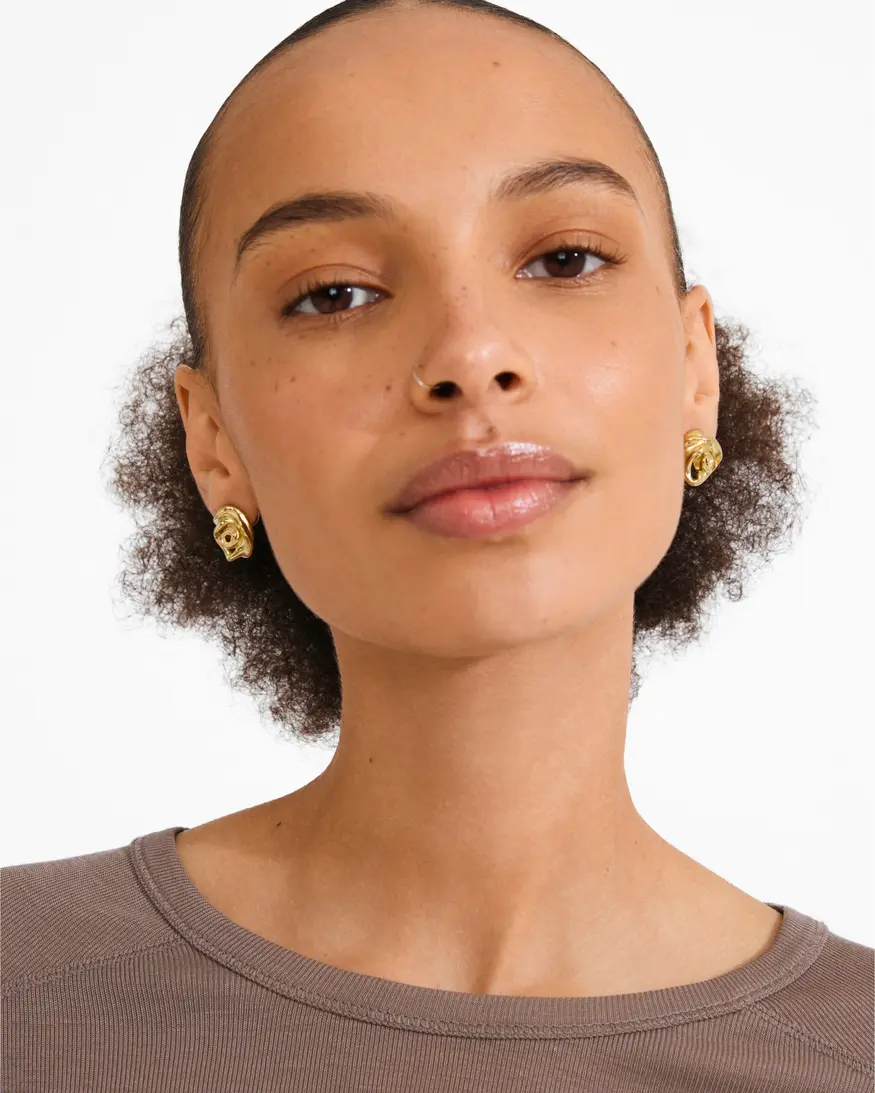 Pilgrim Inner Earrings