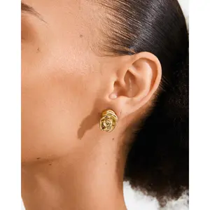 Pilgrim Inner Earrings
