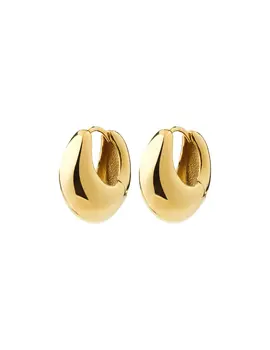 Pilgrim Kairoa 2 Earrings