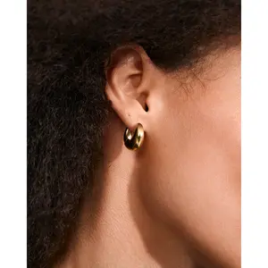 Pilgrim Kairoa 2 Earrings