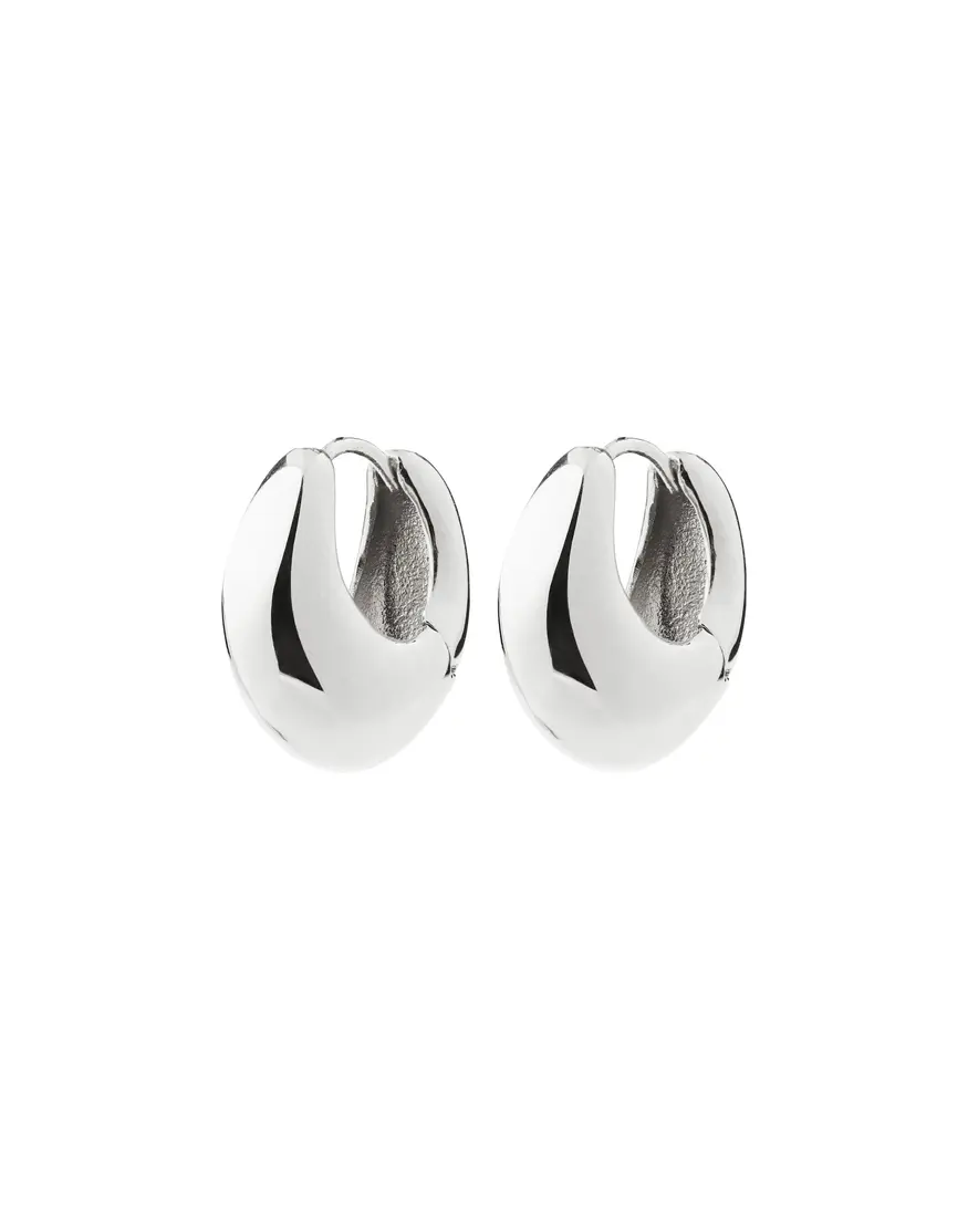 Pilgrim Kairoa 2 Earrings