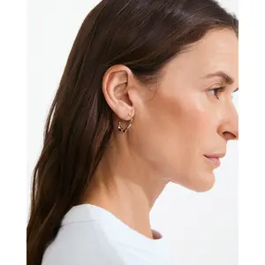 Pilgrim Here Hoop Earrings