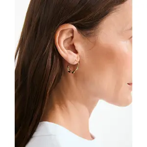 Pilgrim Here Hoop Earrings