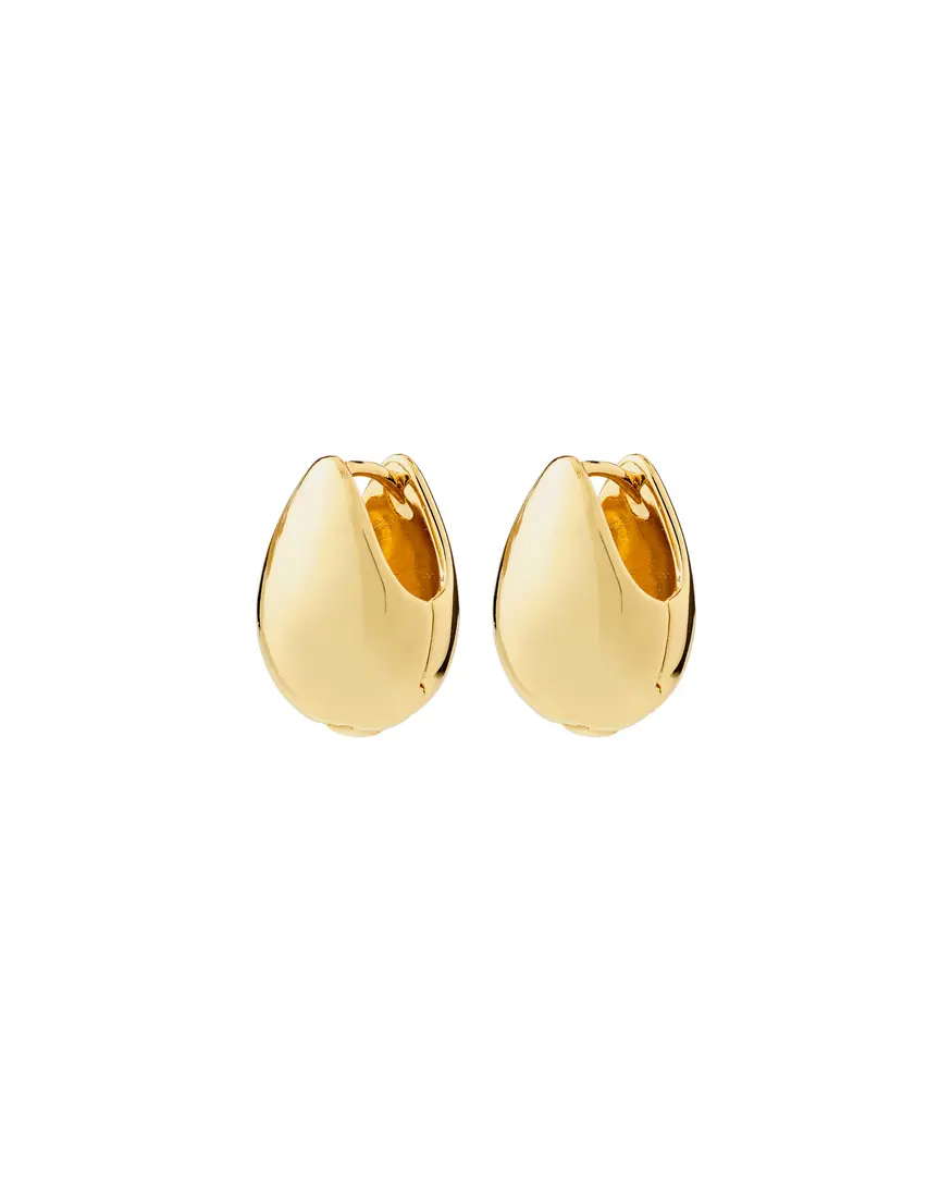 Pilgrim Kaisyn Earrings