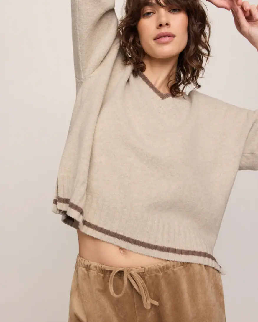Z-Supply Endure V-Neck Sweater