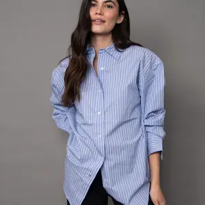 RD Style Padme Stripe Poplin Shirt