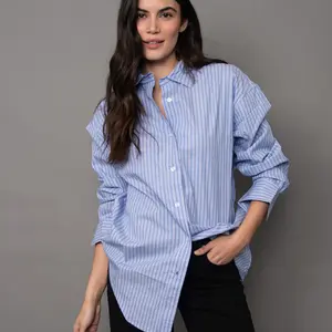 RD Style Padme Stripe Poplin Shirt