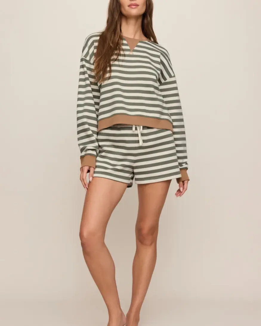 Z-Supply Low Key Stripe Short