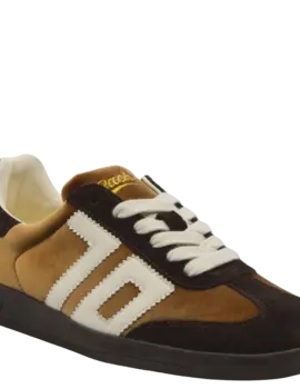 Back 70 Cloud V006