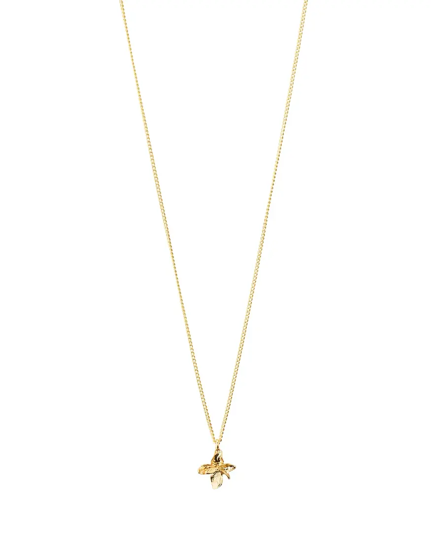 Pilgrim Trace Necklace