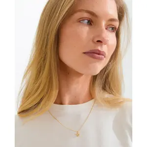 Pilgrim Trace Necklace
