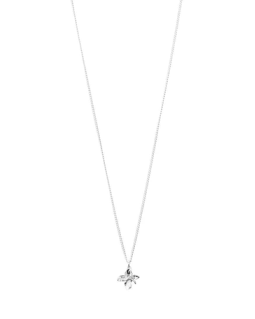 Pilgrim Trace Necklace