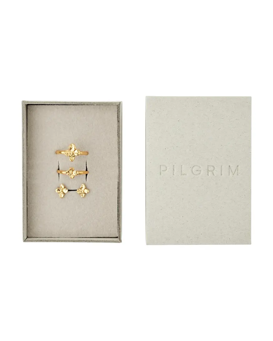 Pilgrim Sanine Gift Set