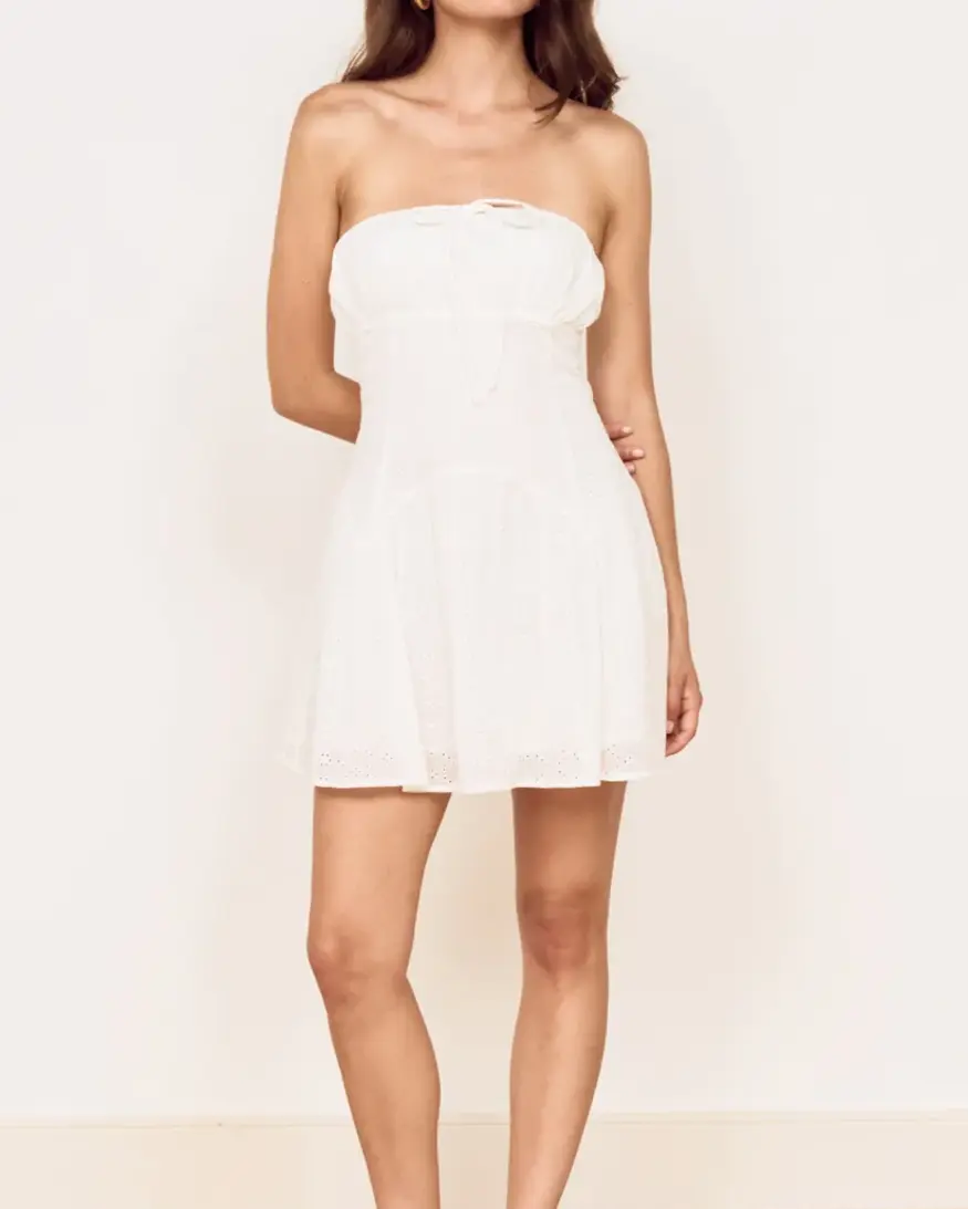 Mink Pink Anisa Embroidered Mini