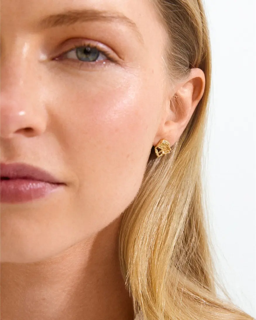 Pilgrim Orien Earrings